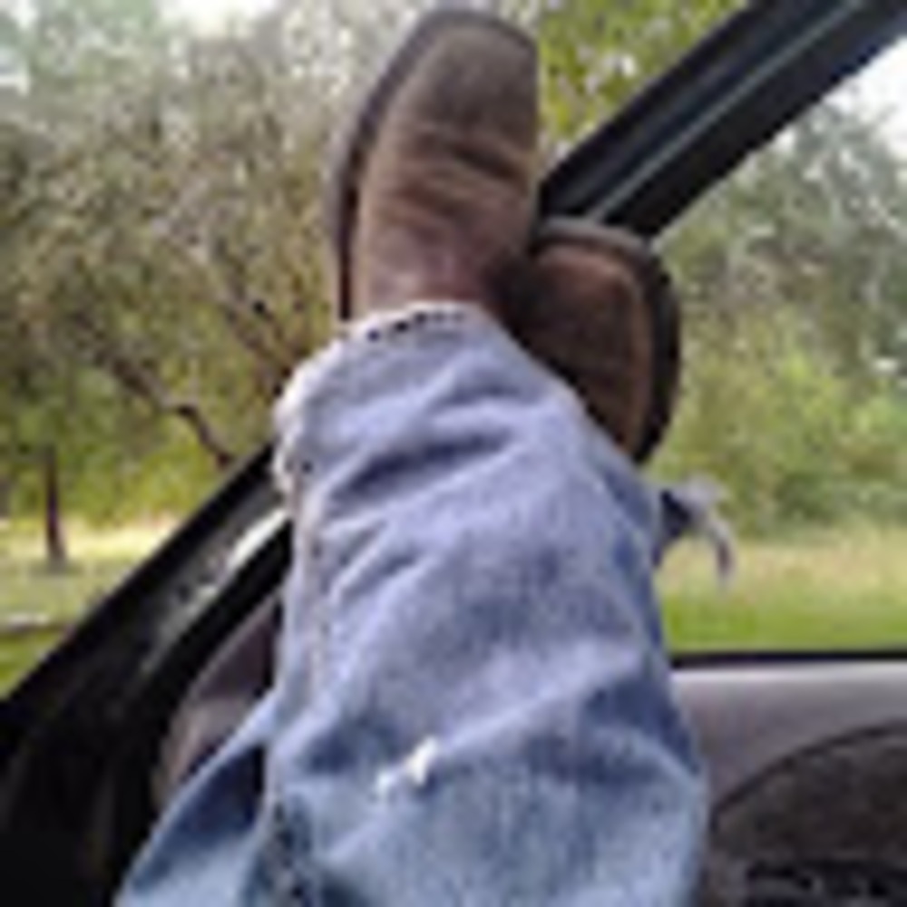 Meet your Posher, Roy